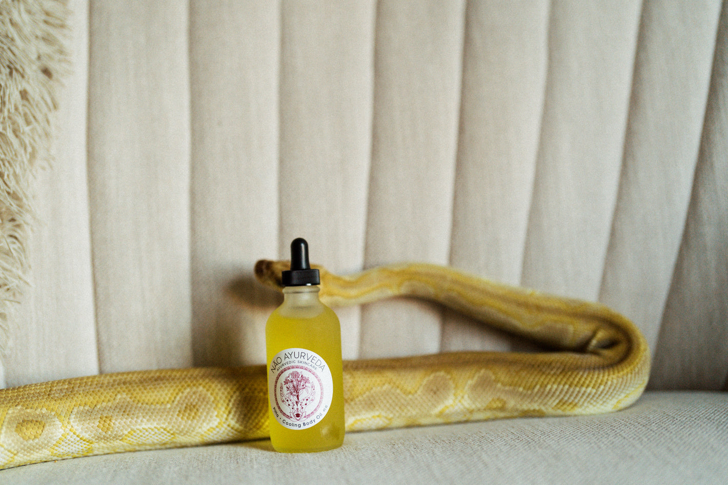 A yellow boa constrictor studies a Nao Ayurveda body oil on a beige linen couch | Image by Margaret Wroblewski for Green Revolution Studio