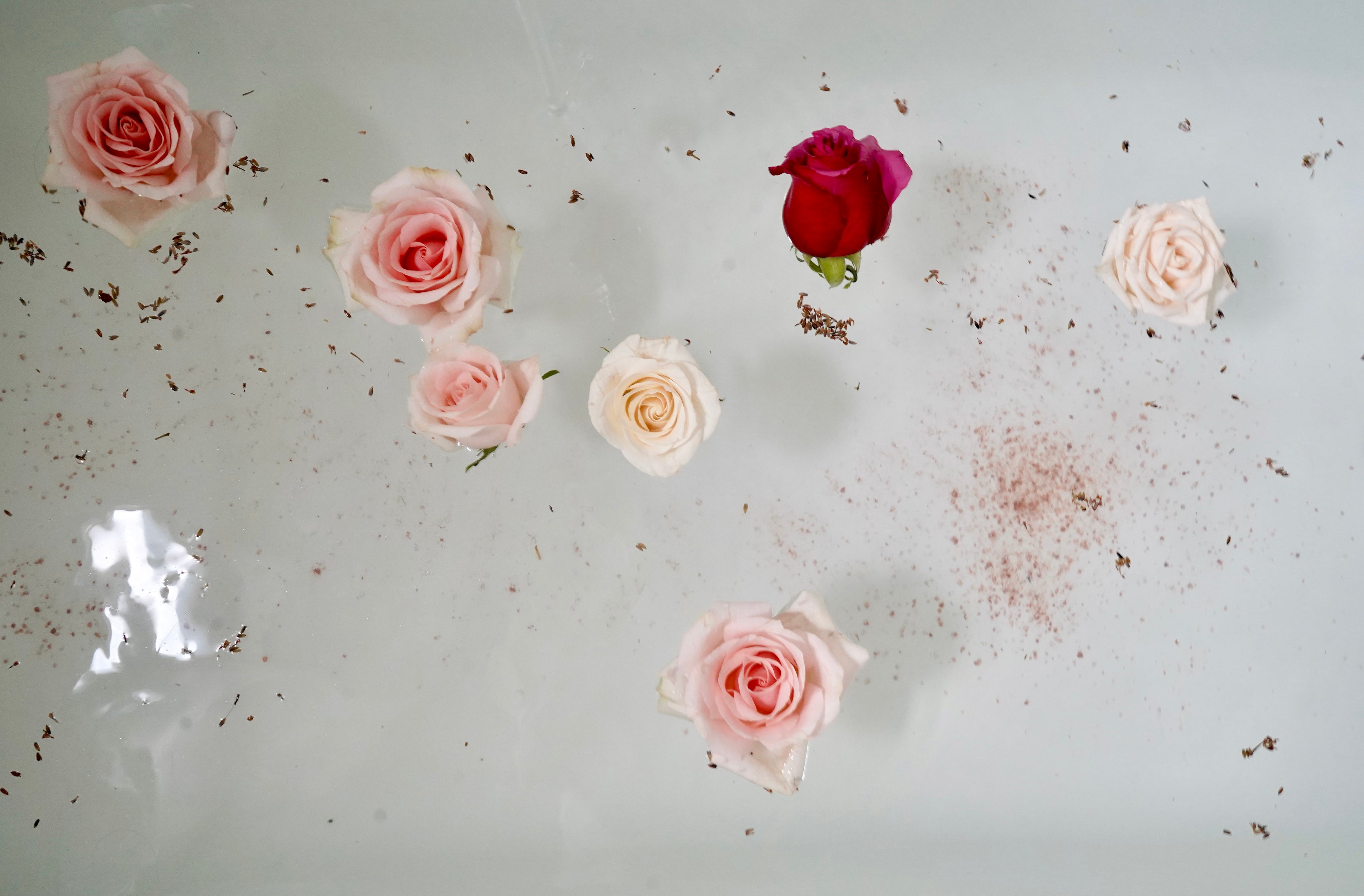 Pink and white roses float in water with pink bath salts | Image by Lacey Woodroof forr Nourish & Refine Clean Skincare